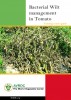 Bacterial Wilt Management In Tomato South Asia