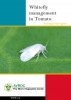 Whitefly Management In Tomato South Asia
